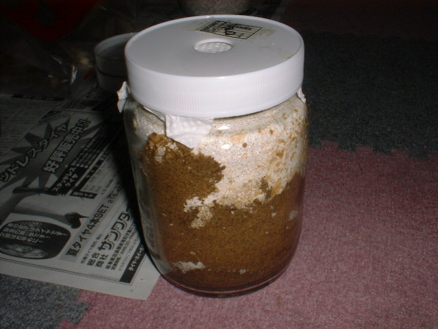 binnkoukann(1).jpg