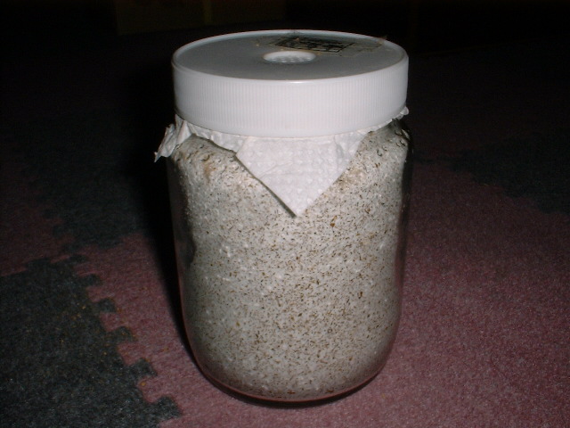 binnkoukann(4)-1.jpg