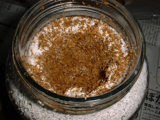 binnkoukann(4).jpg