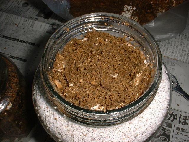 binnkoukann(6).jpg