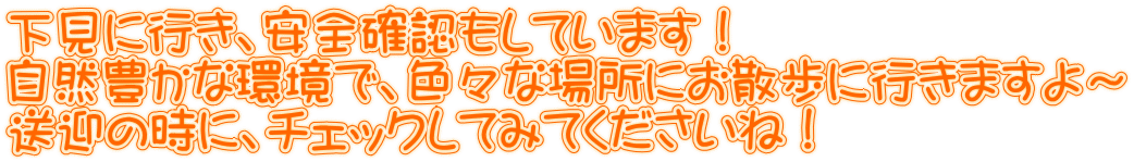 下見に行き、安全確認もしています！ 自然豊かな環境で、色々な場所にお散歩に行きますよ～ 送迎の時に、チェックしてみてくださいね！