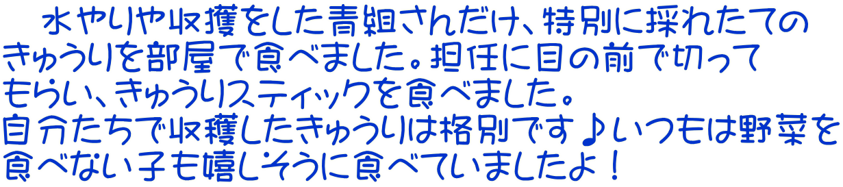 　水やりや収獲をした青組さんだけ、特別に採れたての きゅうりを部屋で食べました。担任に目の前で切って もらい、きゅうりスティックを食べました。 自分たちで収穫したきゅうりは格別です♪いつもは野菜を 食べない子も嬉しそうに食べていましたよ！