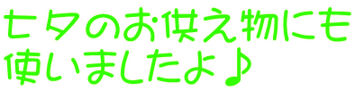 七夕のお供え物にも 使いましたよ♪