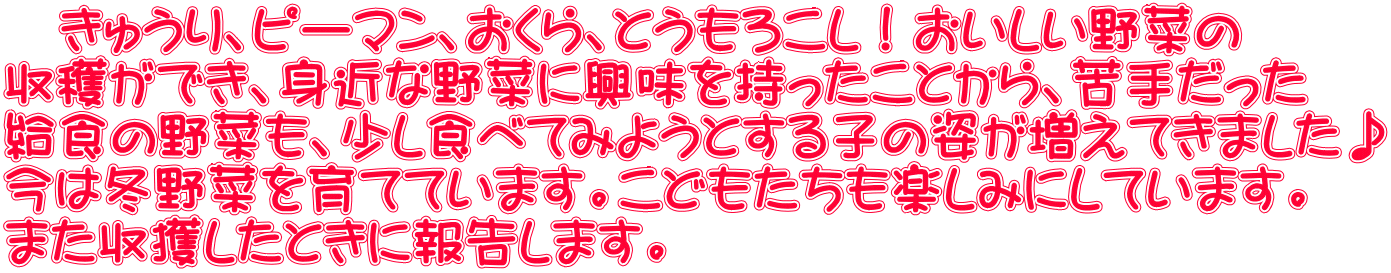 　きゅうり、ピーマン、おくら、とうもろこし！おいしい野菜の 収穫ができ、身近な野菜に興味を持ったことから、苦手だった 給食の野菜も、少し食べてみようとする子の姿が増えてきました♪ 今は冬野菜を育てています。こどもたちも楽しみにしています。 また収獲したときに報告します。