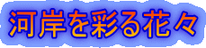 �݂͊��ʂ�ԁX
