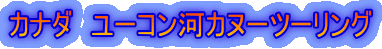 �J�i�_�@���[�R���̓J�k�[�c�[�����O